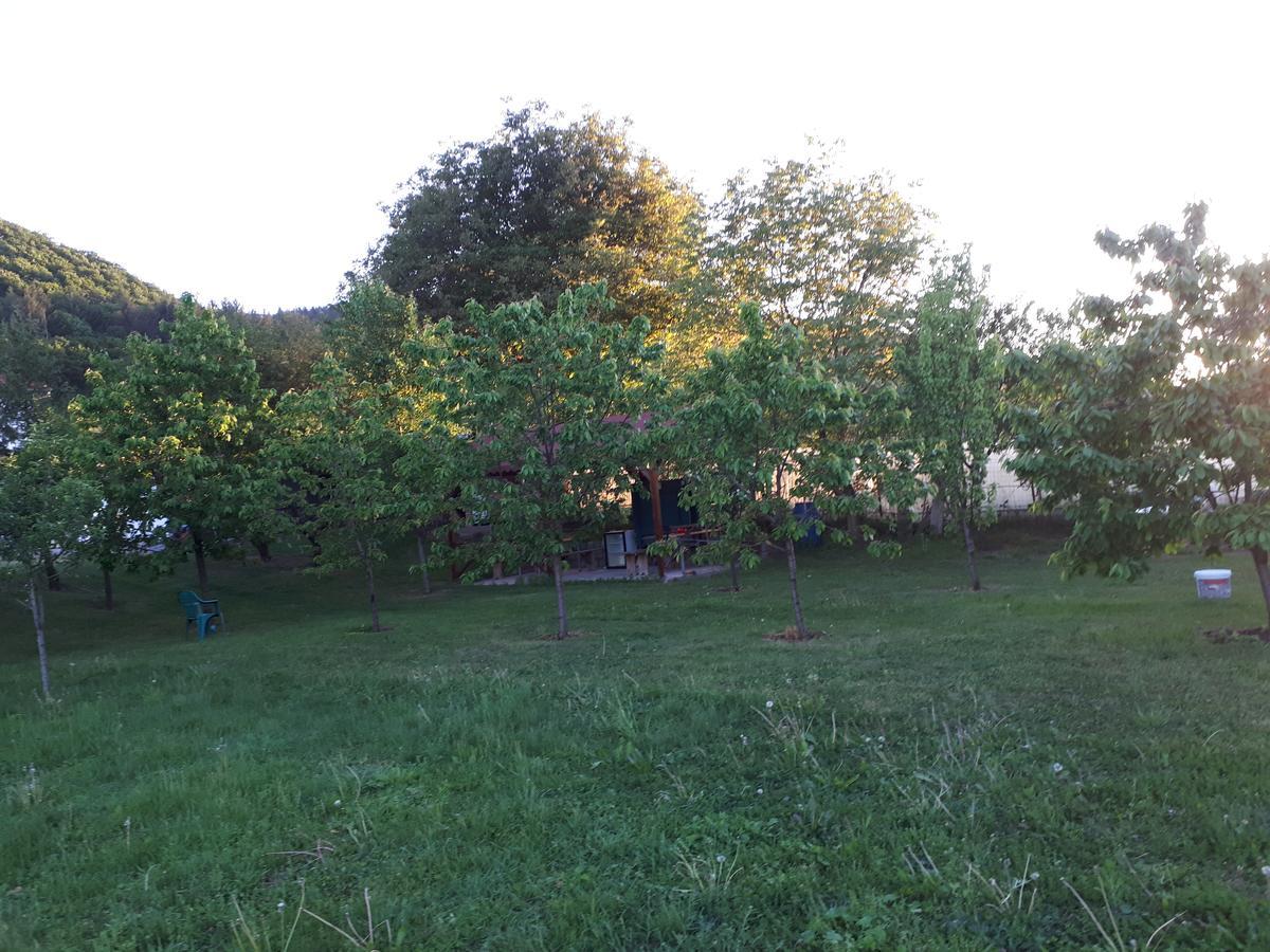 Casa Cionca Guest House Gilău Eksteriør bilde