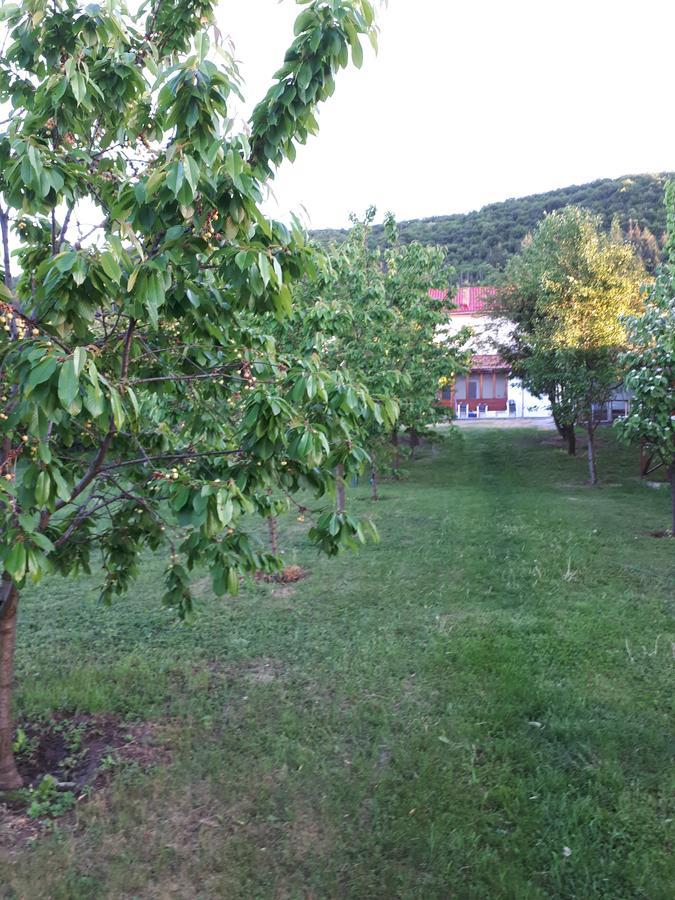 Casa Cionca Guest House Gilău Eksteriør bilde