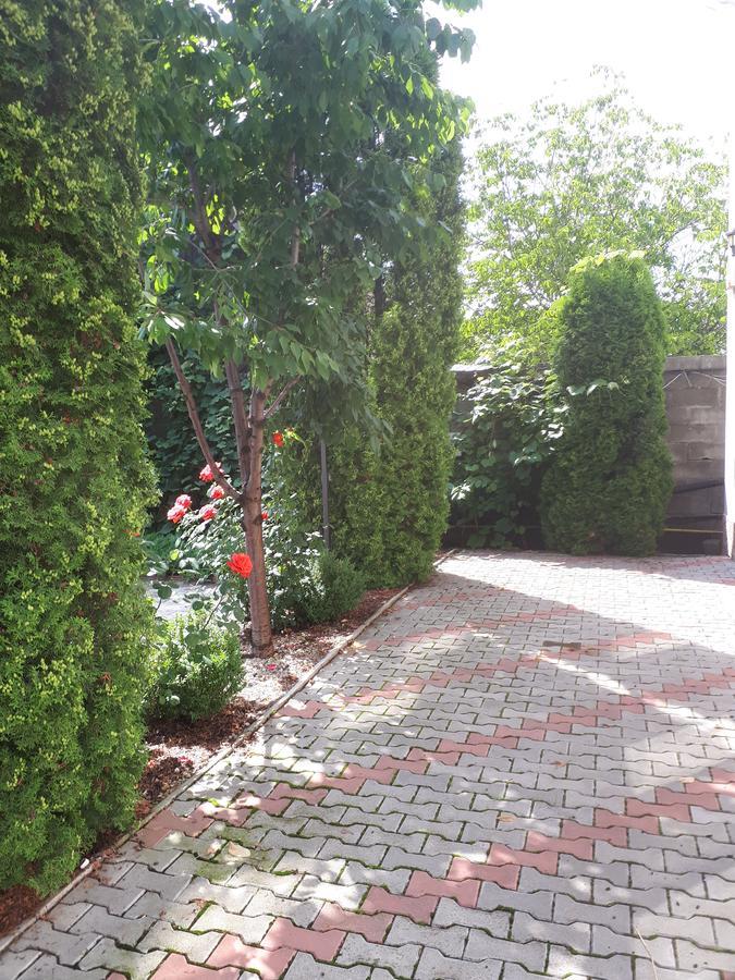 Casa Cionca Guest House Gilău Eksteriør bilde